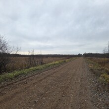 Robert Santoro - Run Across Minnesota (MN)