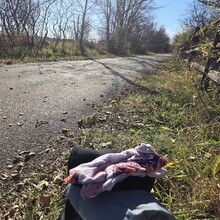 Robert Santoro - Run Across Minnesota (MN)