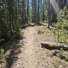 Erin Wingerter - White Clouds Wilderness Loop