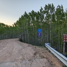 Jackie Hill - Historic Gold Camp Road (CO)