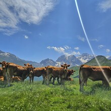 Joëlle Paradis - HexaTrek - crossing France (France)