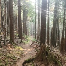 Staci Revel, Bao La - Constance Pass Loop (Olympic National Park, WA)