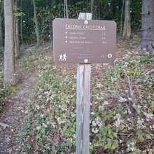 Jim Sweeney - Taconic Crest Trail (NY, MA)