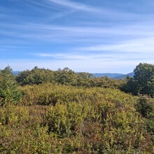 Jim Sweeney - Taconic Crest Trail (NY, MA)