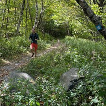 Jim Sweeney - Taconic Crest Trail (NY, MA)