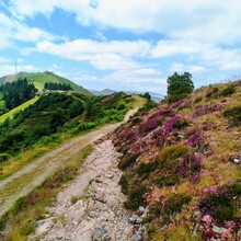 Rebeka Paulovics - Camino Primitivo (Spain)