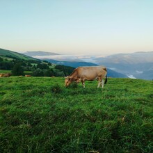 Rebeka Paulovics - Camino Primitivo (Spain)