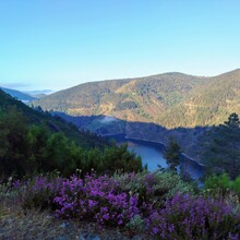 Rebeka Paulovics - Camino Primitivo (Spain)