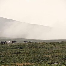 Vojtech Vomacka - Kungsleden (Sweden)