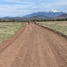 Nikki Dealy - Hole to Hump (AZ)