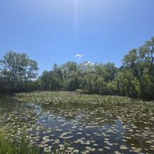 Melanie Sullivan - Clinton River Trail (MI)
