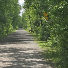 Melanie Sullivan - Clinton River Trail (MI)