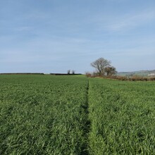 Emily Jarvis - Erme Plym Trail