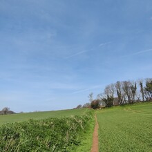 Emily Jarvis - Erme Plym Trail