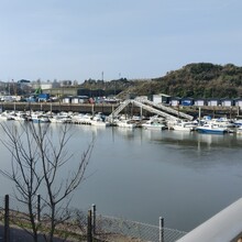 Emily Jarvis - Erme Plym Trail