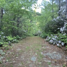 Kim Monge Fera - Sugar Hollow Loop (VA)