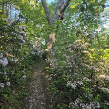 Kim Monge Fera - Sugar Hollow Loop (VA)