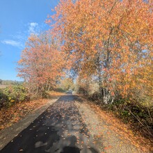 Tom McQueeny-Rose - Banks-Vernonia State Trail (OR)