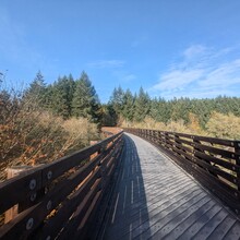 Tom McQueeny-Rose - Banks-Vernonia State Trail (OR)