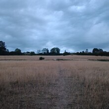 Suki Nightsward - The Stroud WAS Way (UK)