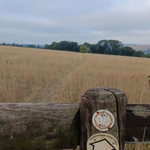 Suki Nightsward - The Stroud WAS Way (UK)