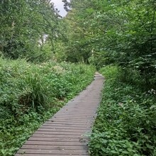 Suki Nightsward - The Stroud WAS Way (UK)