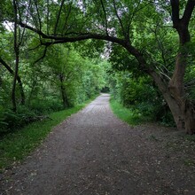 Christine Soskins - William Granger Greenway (ON, Canada)