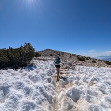 Cindy Gonzalez, Melissa Perez, Jose Montellano - San Bernardino 9 Peaks Traverse (CA)