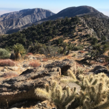 Cindy Gonzalez, Jose Montellano - Rabbit Peak (CA)