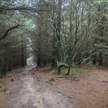 Hollie Steed - Hope Pilgrimage (United Kingdom)