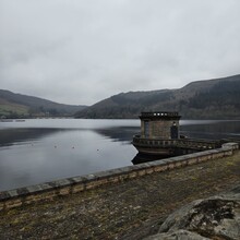 Hollie Steed - Hope Pilgrimage (United Kingdom)