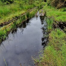 Ben Verhoegstraete - Ancient Road Hærvejen Long Route (Padborg-Hirtshals)