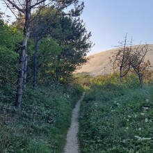 Ben Verhoegstraete - Ancient Road Hærvejen Long Route (Padborg-Hirtshals)