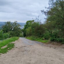 Axel Karst - Burgensteig Bergstrasse (Germany)
