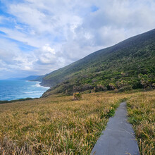 Brian Lichi - Coast Track