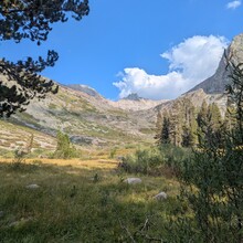 Cindy Gonzalez - Mineral King Loop (CA)