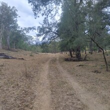 Keelan Birch, Annabelle Swainston - Guy Fawkes River Wilderness Walk