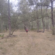 Keelan Birch, Annabelle Swainston - Guy Fawkes River Wilderness Walk