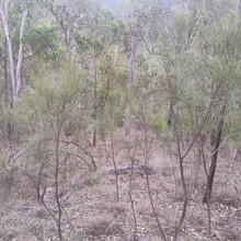 Keelan Birch, Annabelle Swainston - Guy Fawkes River Wilderness Walk