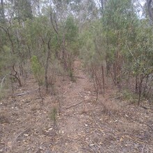 Keelan Birch, Annabelle Swainston - Guy Fawkes River Wilderness Walk