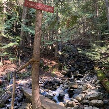 Marina Striker - Okanagan High Rim Trail (BC, Canada)