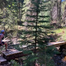 Marina Striker - Okanagan High Rim Trail (BC, Canada)