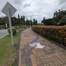 Raymond Reynoso - Putrajaya Roundabout (Malaysia)