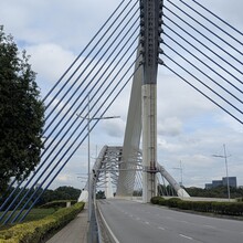 Raymond Reynoso - Putrajaya 9 Bridges Run