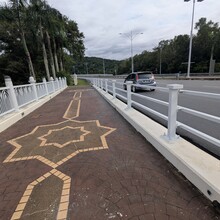 Raymond Reynoso - Putrajaya 9 Bridges Run