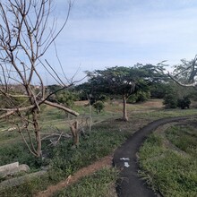 Raymond Reynoso - Bukit Cina Loop (Malaysia)