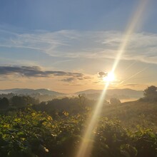 Xander Hartwood - Camino de Santiago - Camino Francés (Spain)