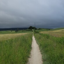 Xander Hartwood - Camino de Santiago - Camino Francés (Spain)