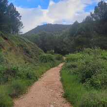 Xander Hartwood - Camino de Santiago - Camino Francés (Spain)