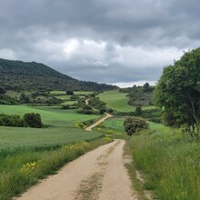 Xander Hartwood - Camino de Santiago - Camino Francés (Spain)